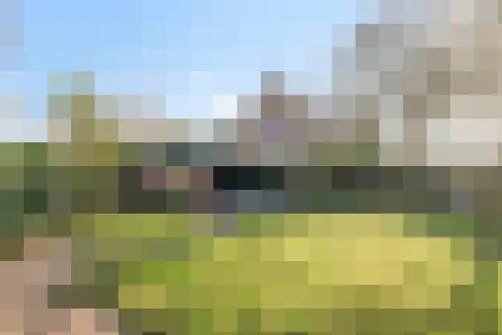 Afgeslechtedijk 29 Steenbergen thumbnail 41