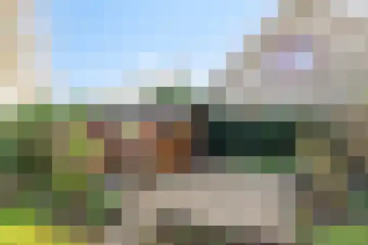 Afgeslechtedijk 29 Steenbergen thumbnail 42
