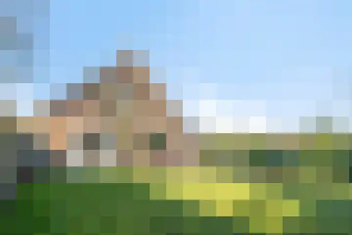 Afgeslechtedijk 29 Steenbergen thumbnail 45