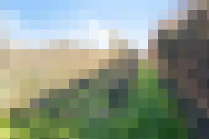 Afgeslechtedijk 29 Steenbergen thumbnail 47