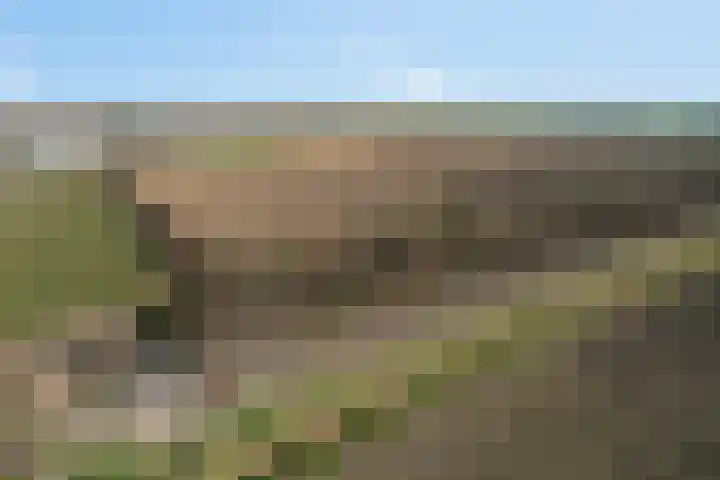 Afgeslechtedijk 29 Steenbergen thumbnail 49