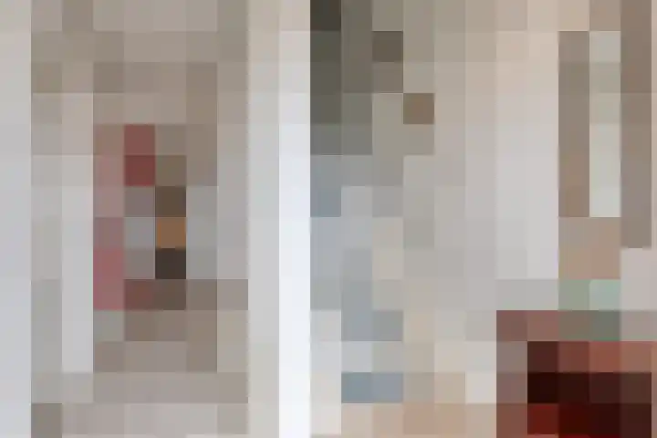 Afgeslechtedijk 29 Steenbergen thumbnail 5