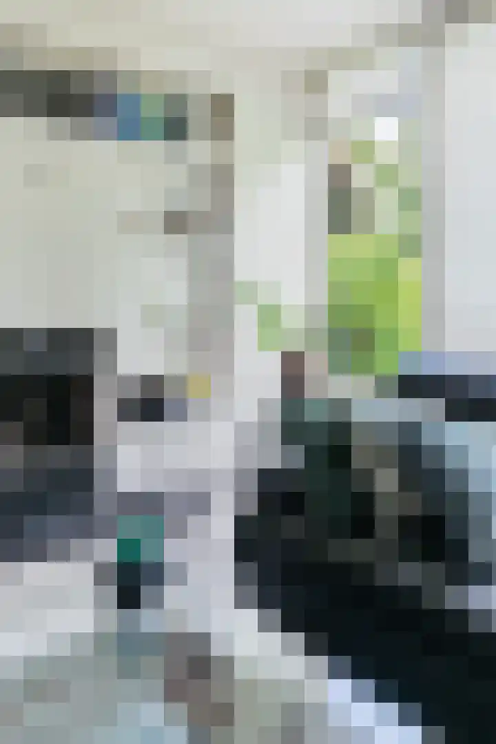 Afhangweg 10 a Horst thumbnail 19