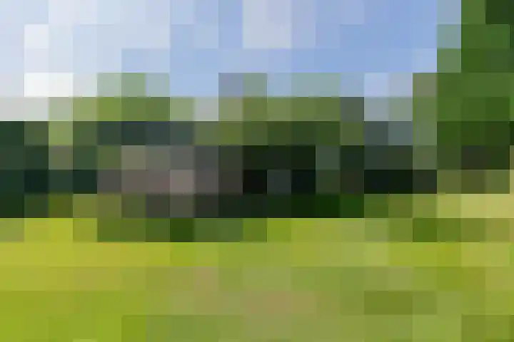 Afhangweg 10 a Horst thumbnail 4