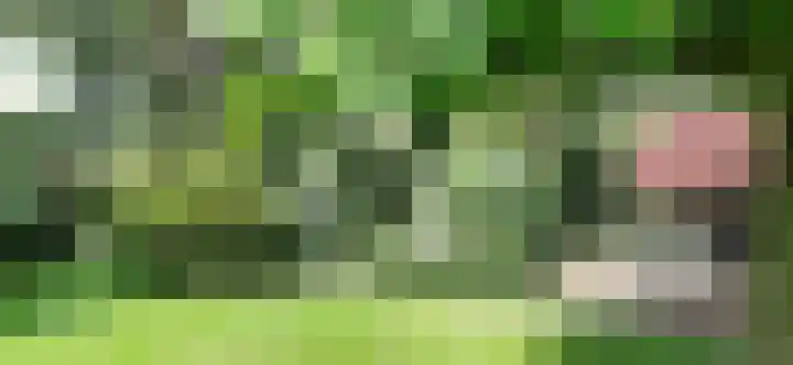 Afhangweg 10 a Horst thumbnail 40