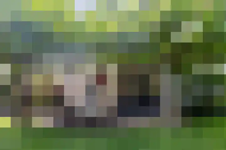 Afhangweg 10 a Horst thumbnail 41