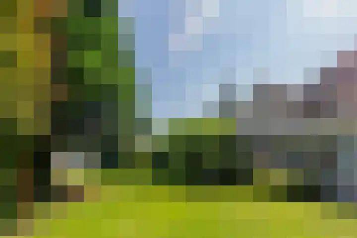 Afhangweg 10 a Horst thumbnail 44
