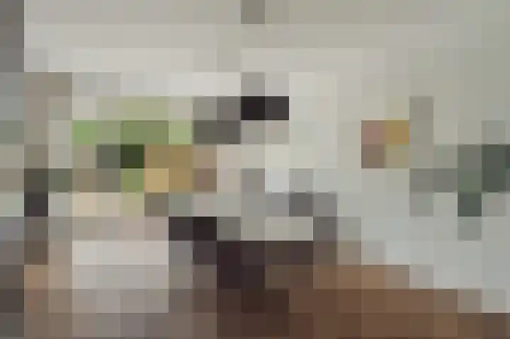 Afrikalaan 180 Delft thumbnail 17