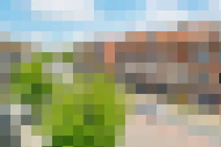 Afrikalaan 180 Delft thumbnail 18