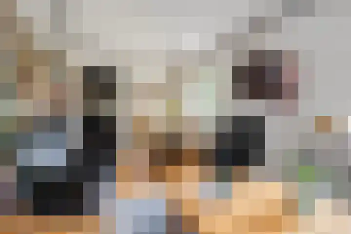 Afrikalaan 180 Delft thumbnail 8