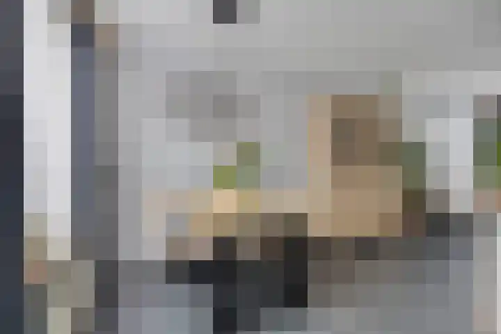 Afrikalaan 68 Drunen thumbnail 10