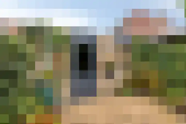 Afrikalaan 68 Drunen thumbnail 25