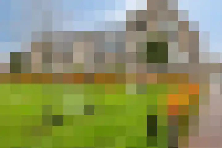 Afrikalaan 68 Drunen thumbnail 28