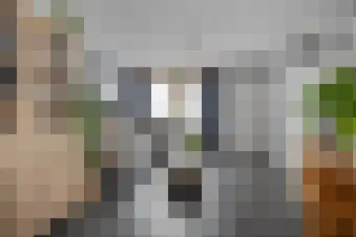Afrikalaan 68 Drunen thumbnail 9