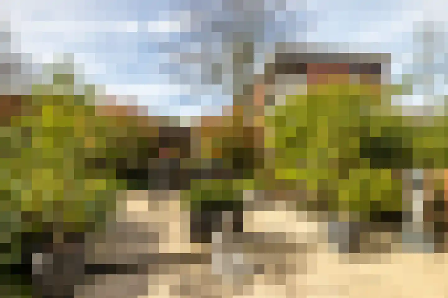 Afrikaring 133 Amersfoort thumbnail 43