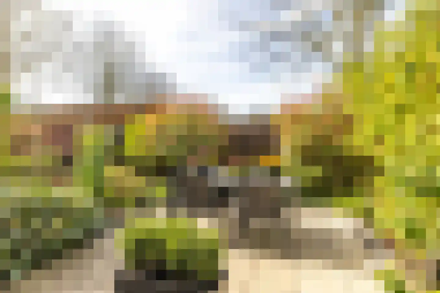 Afrikaring 133 Amersfoort thumbnail 44