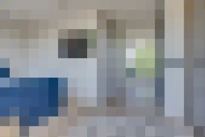 Afrikaring 81 Amersfoort thumbnail 29