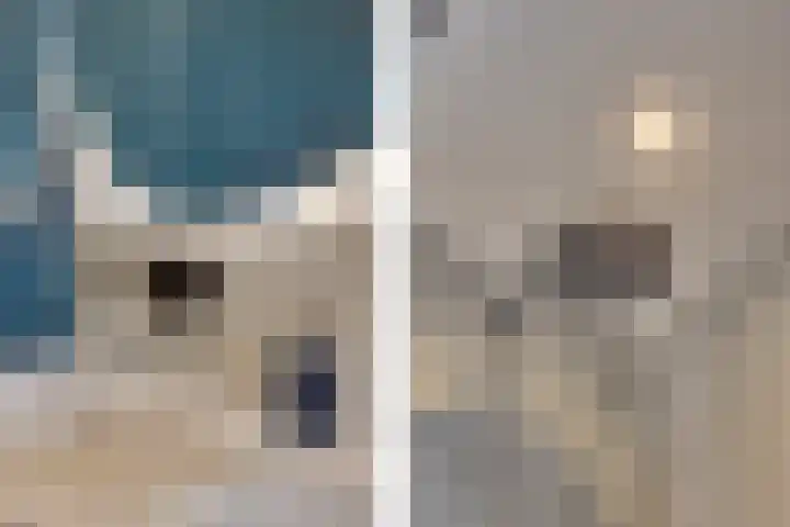 Afrikaring 81 Amersfoort thumbnail 32