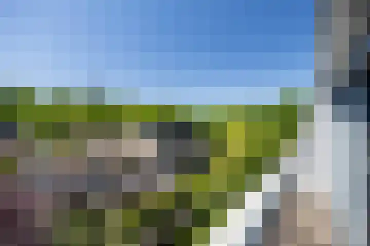 Afrikaring 81 Amersfoort thumbnail 35