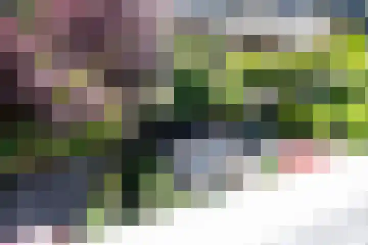 Afrikaring 81 Amersfoort thumbnail 36