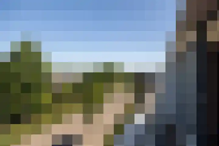Afrikaring 81 Amersfoort thumbnail 39