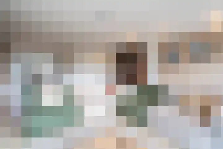 Afslaander 12 Heukelum thumbnail 12