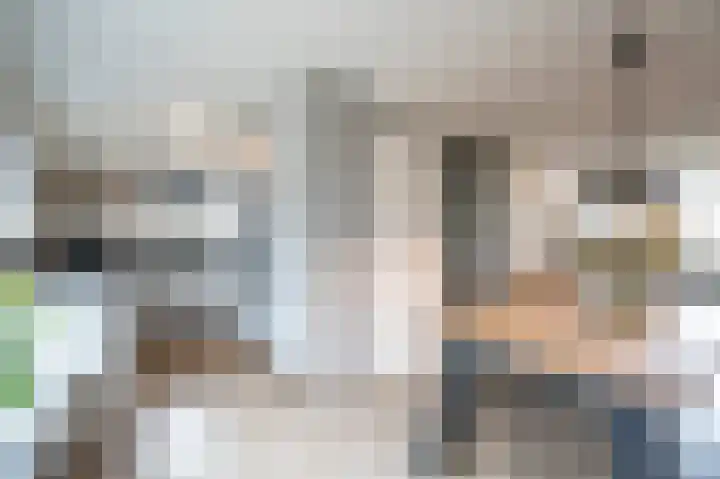 Afslaander 12 Heukelum thumbnail 14