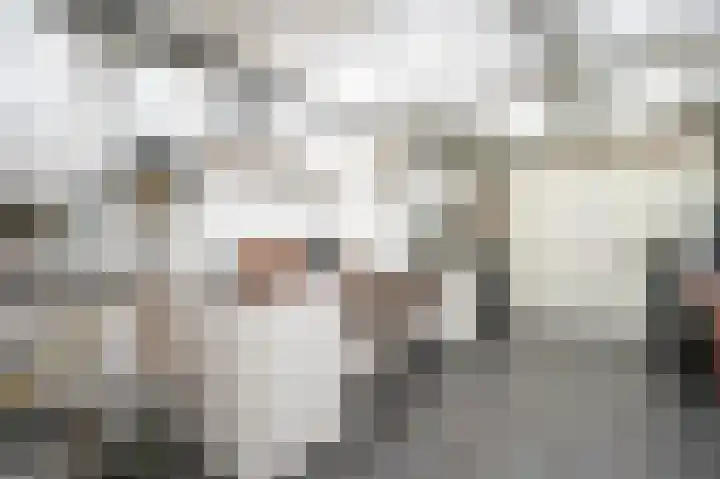 Afslaander 12 Heukelum thumbnail 18
