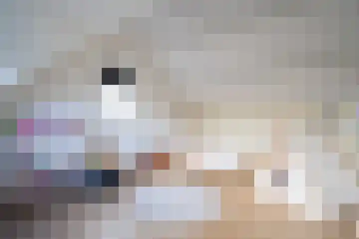 Afslaander 12 Heukelum thumbnail 27