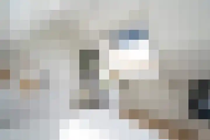 Afslaander 12 Heukelum thumbnail 34