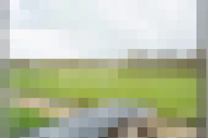 Afslaander 12 Heukelum thumbnail 37