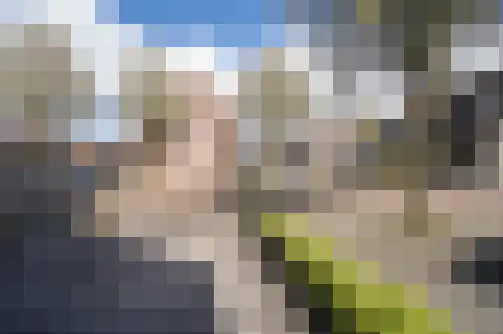 Afslaander 12 Heukelum thumbnail 45