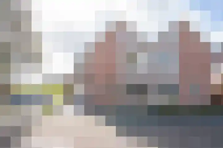 Afslaander 12 Heukelum thumbnail 6