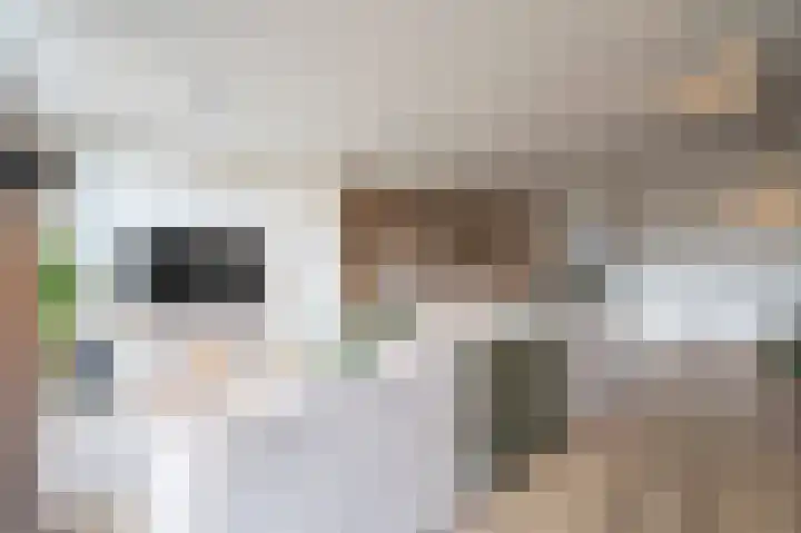 Afslaander 12 Heukelum thumbnail 9