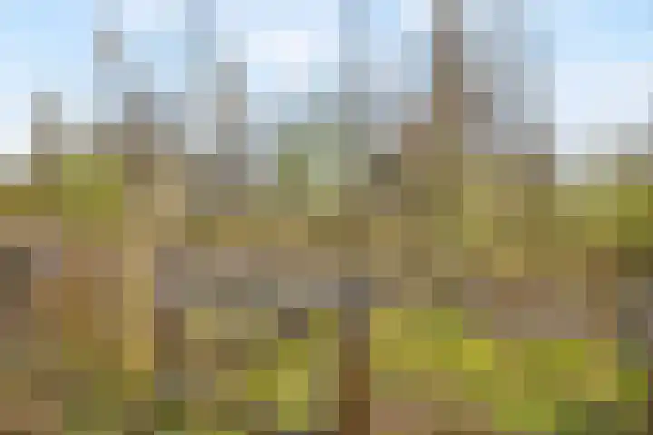 Afsluitdijk 5 Arnhem thumbnail 16