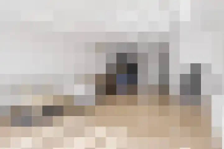 Afsluitdijk 5 Arnhem thumbnail 5