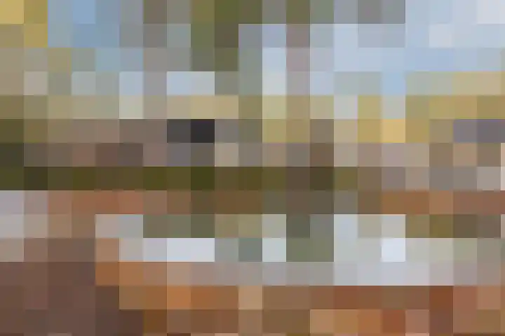 Aftrap 1 Gilze thumbnail 14