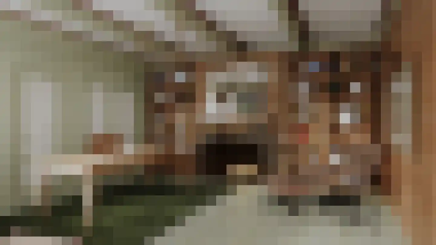 Aftrap 1 Gilze thumbnail 18