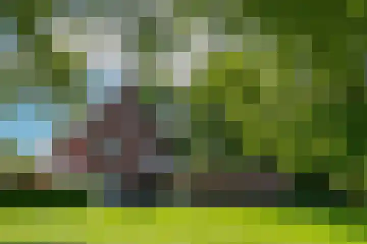 Aftrap 1 Gilze thumbnail 22