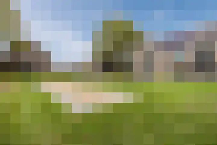 Aftrap 1 Gilze thumbnail 34