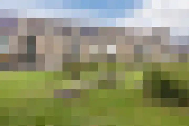 Aftrap 1 Gilze thumbnail 36