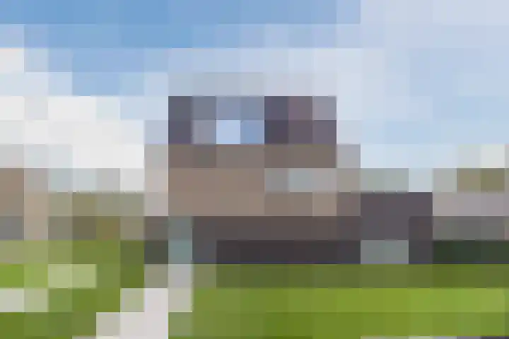 Aftrap 1 Gilze thumbnail 39