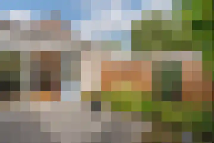 Agaat 3 Zoetermeer thumbnail 12