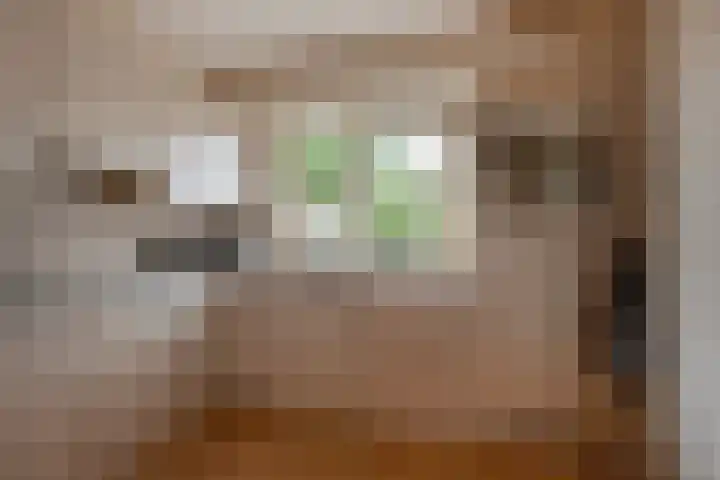Agaat 3 Zoetermeer thumbnail 15