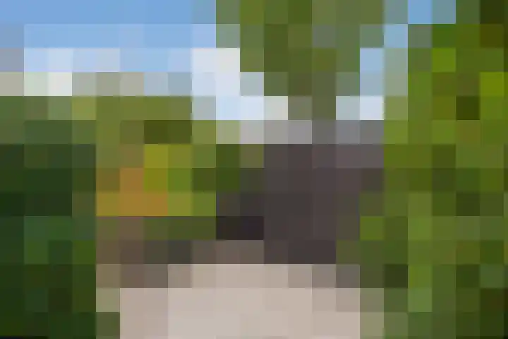 Agaat 3 Zoetermeer thumbnail 21