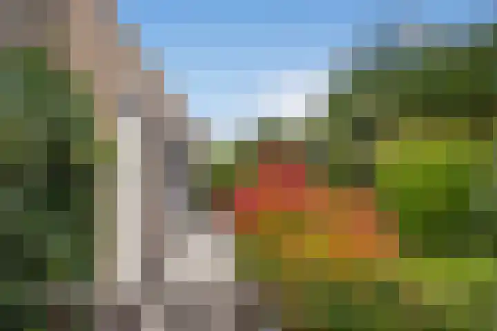 Agaat 3 Zoetermeer thumbnail 25