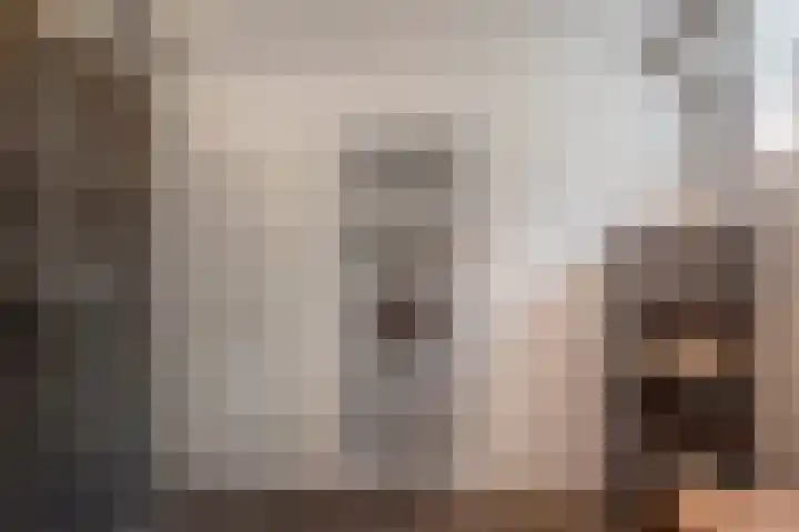 Agaat 3 Zoetermeer thumbnail 31