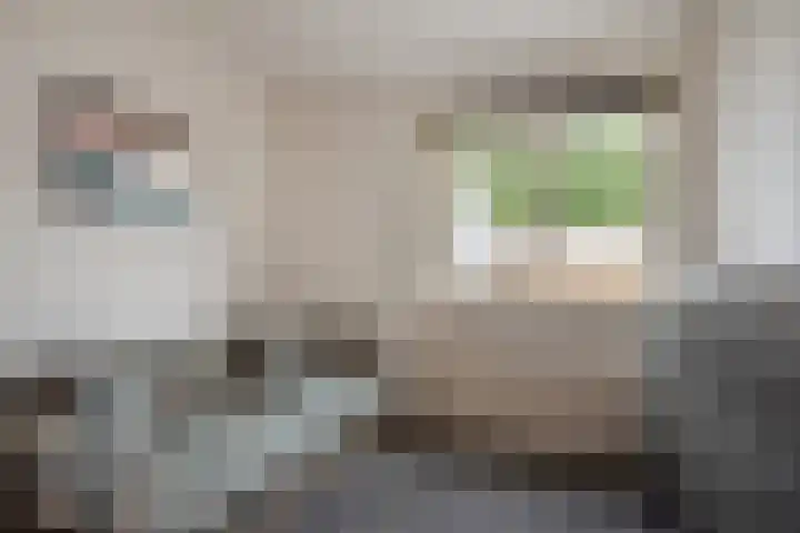 Agaat 3 Zoetermeer thumbnail 32