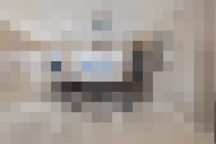 Agaat 6 Venlo thumbnail 11