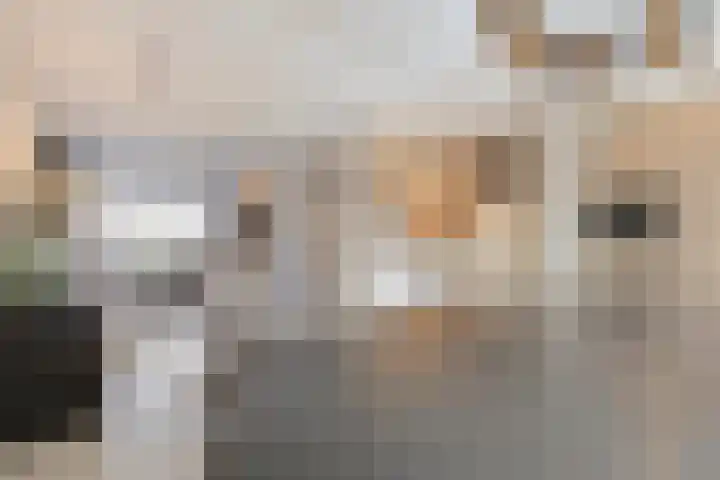 Agaat 6 Venlo thumbnail 13